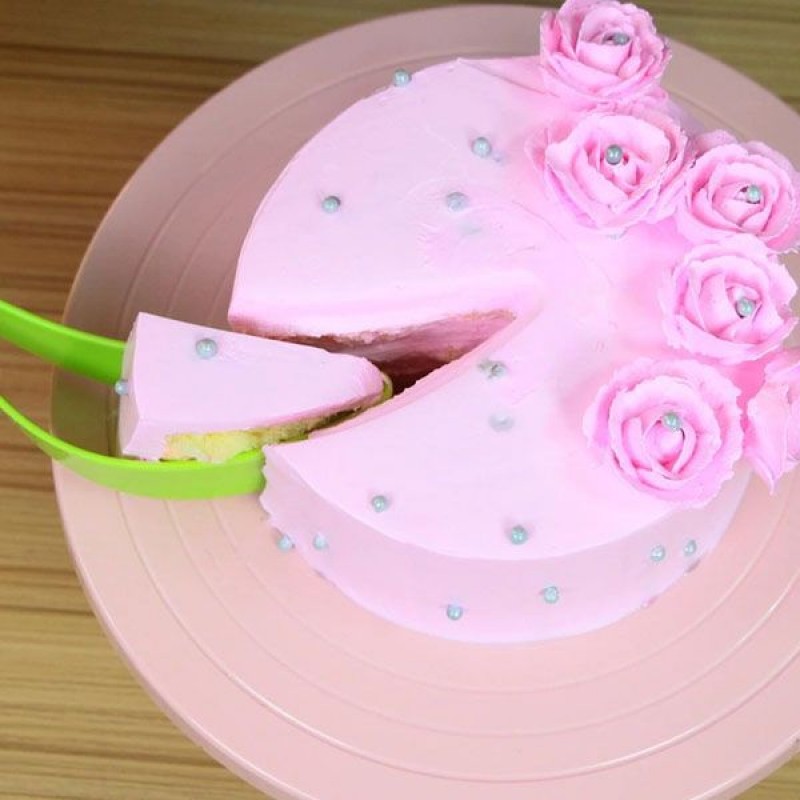 Perfect Plastic Cake Slicer