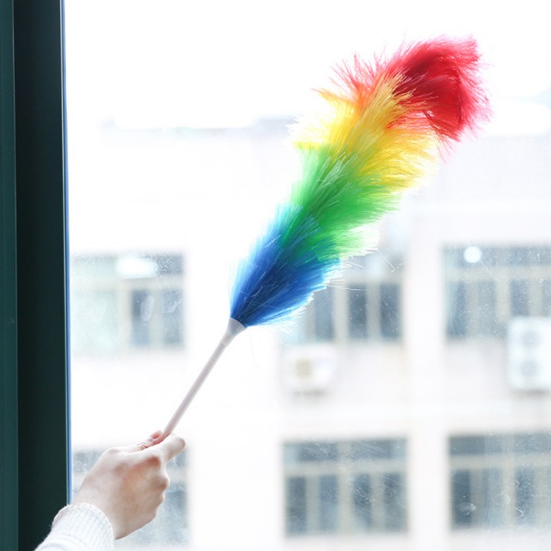 Rainbow Dust Duster With Plastic Handle