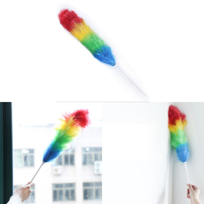 Rainbow Dust Duster With Plastic Handle