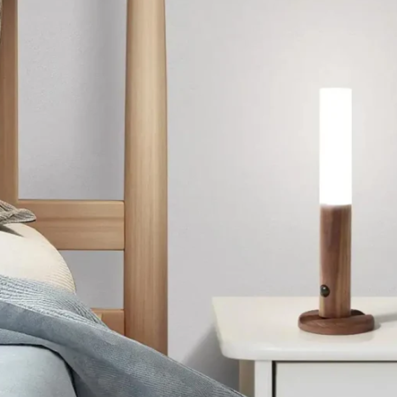 Portable LED magnetic motion sensor light