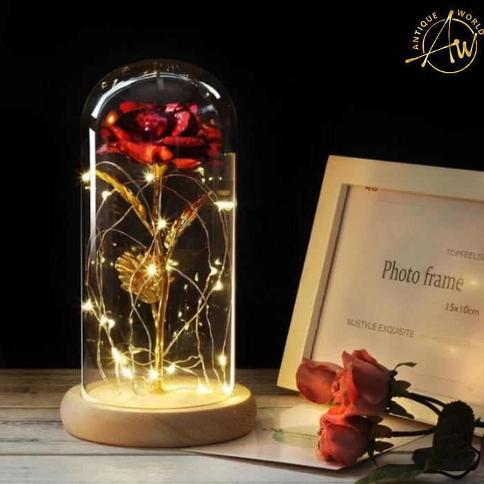 Fairy LED Elegant Home Decor - Enchanting Ambiance for Your Space
