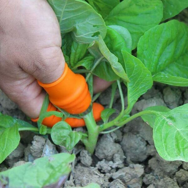 Finger Protector Silicone Thumb Knife