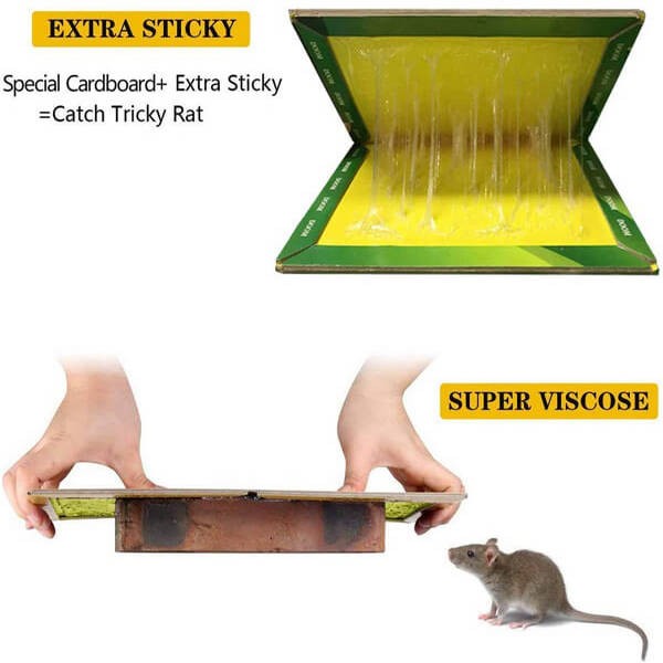 Mouse Trap Board Sticky Mice Glue Pack of 2