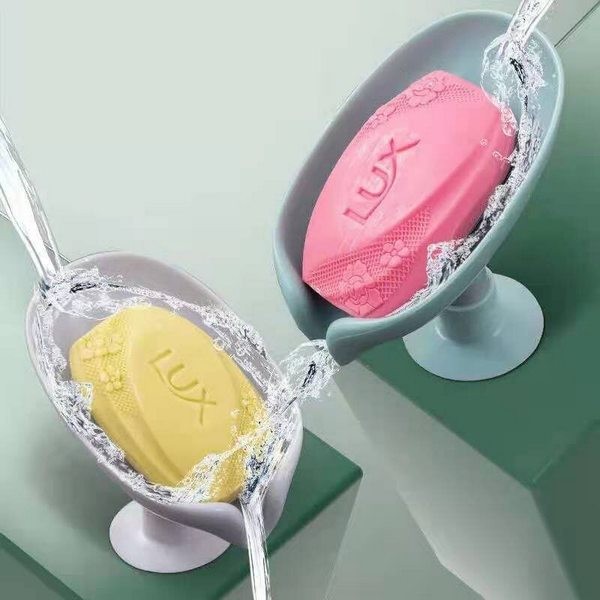 Soap dish with suction base