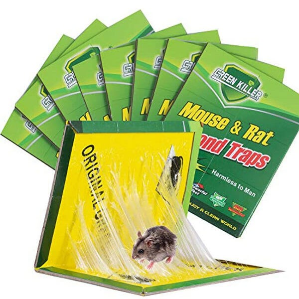 Mouse Trap Board Sticky Mice Glue Pack of 2