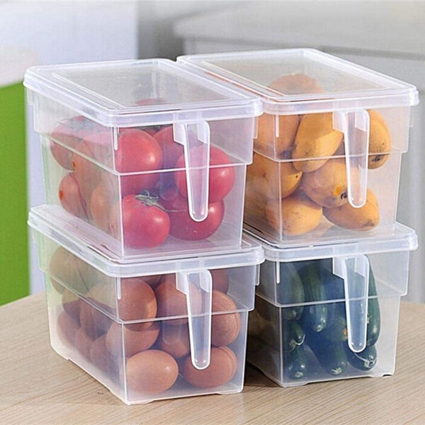 Portable Fridge Sealed Storage Box
