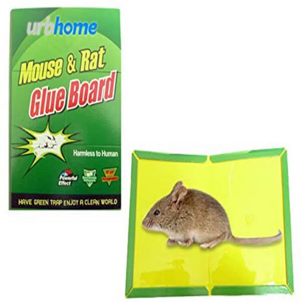 Mouse Trap Board Sticky Mice Glue Pack of 2