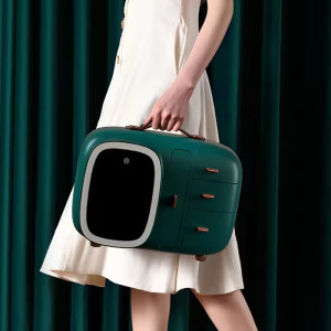 Luxury Cosmetic Organizer With LED Light Mirror