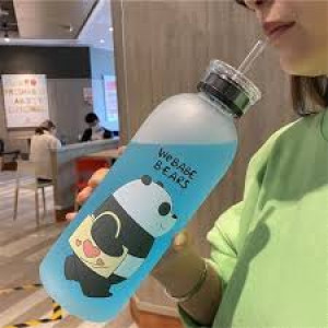 Trendy 500ml Frosted Character Water Bottle