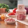 Wireless Rechargeable Food Chopper