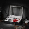 10-Slot Watch Box with Removable Watch Pillow