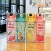 400ml Summer Straw Fashion Ice Fruit Water Bottle