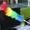 Rainbow Dust Duster With Plastic Handle