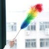 Rainbow Dust Duster With Plastic Handle
