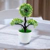 Artificial Plant with Pot Fortune Tree For Home Decoretion & Gift