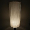 Single Floor Lamp