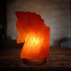 Salt Lamp Horse Head Shape