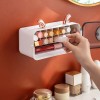 Wall Mount Lipstick Organizer Holder