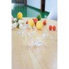 Hand Press Lemon Squeezer for Kitchen