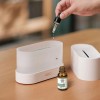 Flame Air Humidifier