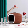 Luxury Cosmetic Organizer With LED Light Mirror