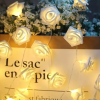 Flower LED Light String