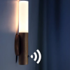 Portable LED magnetic motion sensor light