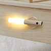Portable LED magnetic motion sensor light