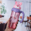 Cute Cartoon Panda and Rabbit Kids Tumbler - BPA Free 750ml Water Bottle with Handle and Straw
