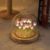 Tulip Dome Light Flower – Romantic LED Glass Dome Decor & Gift