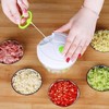 Nicer Dicer Plus Speedy Chopper 500ml