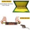Mouse Trap Board Sticky Mice Glue Pack of 2