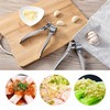 Stainless Steel Garlic Press Crusher