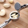 Stainless Steel Garlic Press Crusher