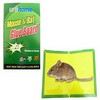 Mouse Trap Board Sticky Mice Glue Pack of 2