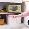 Rice Storage Container